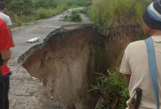 Bupati OKU Selatan Bergerak Cepat Tangani Longsor Jalan Amblas di Desa Bunga Mas