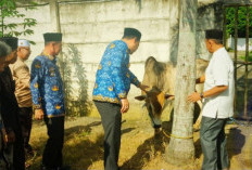 Bupati OKU Selatan, Abusama SH Serahkan Sapi Qurban ke Pengurus Masjid Agung