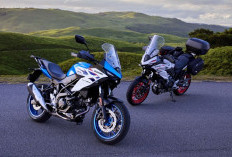 Suzuki SV-7GX Resmi Meluncur: Mesin V-Twin 650 cc Siap untuk Petualangan