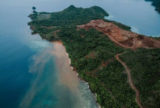 Menteri LH Ungkap Pertambangan di Raja Ampat Langgar UU