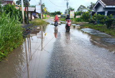 Kerap Kebanjiran, Warga Minta Jalan Lintas Ranau Dibangunkan Talud