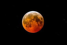 Simak Jadwal Melihat Gerhana Bloon Moon September 2025