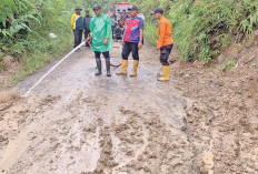 Longsor Sempat Tutup Jalan Penghubung di 3 Kecamatan Semendo Darat Ulu