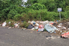 Baru Dibersihkan, Sampah Liar di Jalan Desa Pendagan Kembali Menumpuk