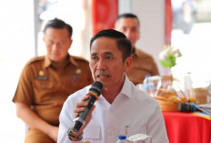 Pemkot Palembang imbau warga waspadai kasus super flu