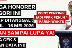 Tahap Seleksi Kompetensi P3K 2025 Dimulai 17 April, Cek Jadwal dan Syarat Lengkapnya!