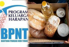 Cara Cek Bansos BPNT Mei 2025 Tahap Ketiga
