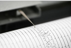 Gempa Dahsyat M 7,4 Guncang Jepang, BMKG Pastikan Aman dari Tsunami ke Indonesia