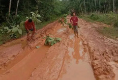 Warga Desa Sidang Emas dan Desa Rimba Alai Menangis Pilu Lihat Kondisi Jalan