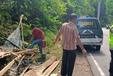 Petugas Bongkar Gubuk Diduga Tempat Pemalakan Sopir Angkutan