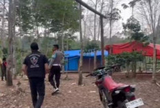 Penggerebekan Judi Sabung Ayam di Kisam Tinggi Diduga Bocor, Para Pelaku Sudah Melarikan Diri