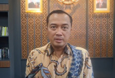 Istana Respons Usulan Solo Jadi Daerah Istimewa