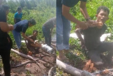 Polisi Kejar Pelaku hingga ke Rawa, Pencuri Kabel PLN di Jambi Berhasil Ditangkap
