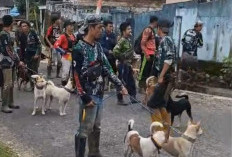 Warga Durian Sembilan Kompak Berburu Hama Babi, Lindungi Perkebunan dari Kerusakan