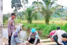 Polsek Kisam Tinggi Gotong Royong Perbaiki Jembatan Gantung Desa Kota Padang, Wujud Kepedulian Polri terhadap 