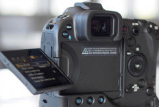 DSLR vs Mirrorless: Teknologi, Harga, dan Pilihan Terbaik untuk Fotografer Modern
