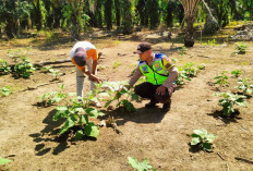Dukung Ketahanan Pangan, Polsek Simpang Ajak Warga Tanam Sayur Dipekarangan