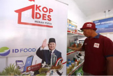 Gaji Manajer Koperasi Merah Putih Tembus Jutaan, Siap Ambil Peluangnya
