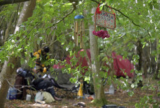 Kerajaan Kubala Kembali Terancam Diusir dari Hutan di Scottish Borders