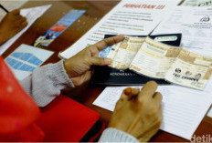7 Provinsi Berlakukan Pemutihan Pajak Kendaraan Juni 2026, Denda hingga Tunggakan Dihapus