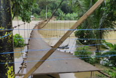 Jembatan Gantung Terbalik, 7 Anak Terseret Arus