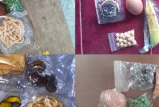 Kualitas Menu Disorot, Sejumlah SPPG Hentikan Operasional Sementara