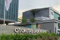 Kredit UMKM Sumsel Capai Rp41,3 Triliun, OJK Ungkap 7 Indikator Penguatan Ekonomi Daerah