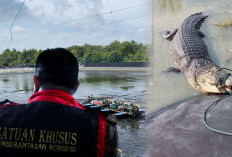 Kejari OKI Bongkar Dugaan Korupsi KUR Tambak Udang Yang Rawan Buaya