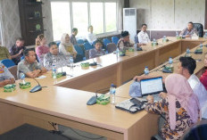 OKU Selatan Dipilih Jadi Tuan Rumah Gebyar QRIS PeKa 2025