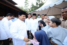 Idul Adha 1445 H, Prabowo Berkurban 145 Ekor Sapi