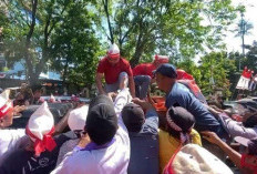 Peternak Unggas Keluhkan Jagung Capai Rp6.500 Per Kg