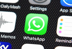 6 Fitur Baru WhatsApp, Bisa Kirim Foto Bergerak hingga Scan Dokumen