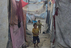 UEA Evakuasi 155 Pasien Gaza Bersama WHO