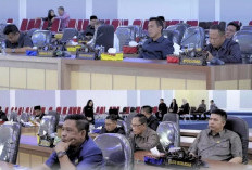 Catat, Inilah 40 Anggota DPRD OKU Selatan Masa Bakti 2024-2029, Ingat Janji dan Programnya