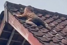 Balita 2 Tahun di Lombok Tengah Ditemukan di Atas Genting Rumah, Video Evakuasi Viral di Medsos