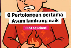 Pertolongan Pertama Saat Asam Lambung Naik (GERD/Refluks Asam)