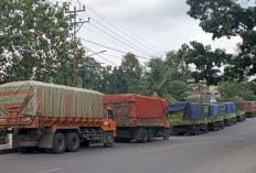 Tutup Celah Angkutan Batu Bara, Wali Kota Instruksikan Jalan Kota Prabumulih Dijaga Siang Malam