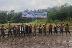 Bapanas dan Pemkab OKU Selatan Canangkan Gerakan Tanam Padi di Muaradua Antisipasi Dampak El Nino