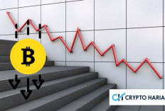 Alasan Kenapa Harga Bitcoin Terjun Hari Ini (26/10)