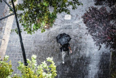 BMKG Prediksi Hujan Sedang-Lebat Awal Februari di Sumsel, Waspada Bencana