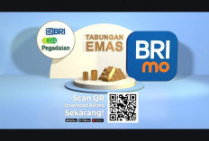 Mudah dan Aman! Investasi Emas Kini Tersedia di BRImo