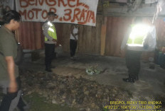 Salah Paham Berujung Maut, Pemuda 19 Tahun Tewas Ditusuk di Desa Pelangki