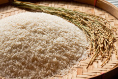 Harga Beras Jepang Naik, Impor Diprediksi Melonjak Tajam
