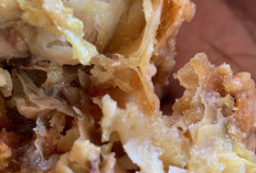 Menu MBG di Dapur Talang Padang Buay Pemaca Dikeluhkan, Warga Sebut Ayam Tidak Layak Konsumsi