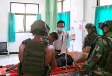 Jadi Korban Penyerangan OPM Papua, Satu Anggota TNI Tewas dan Satu Terluka