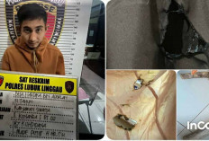 Warga Lubuklinggau Tega Bakar Rumah Orang Tua karena Tak Diberi Uang Untuk Judi Slot