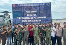 Pidsus Kejati Babel Amankan 12 Alat Berat dari Tambang Timah Ilegal di Kawasan Hutan