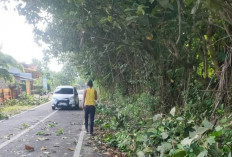 Warga Bersihkan Ranting Pohon di Sepanjang Jalan Provinsi