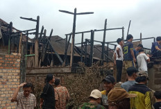 Kebakaran Hebat Terjadi di Sindang Danau, 4 Rumah Warga Hangus Dilalap Api