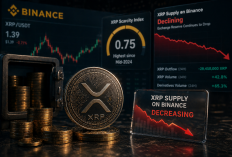 XRP Makin Langka di Binance, Sinyal Besar Mulai Terbentuk?